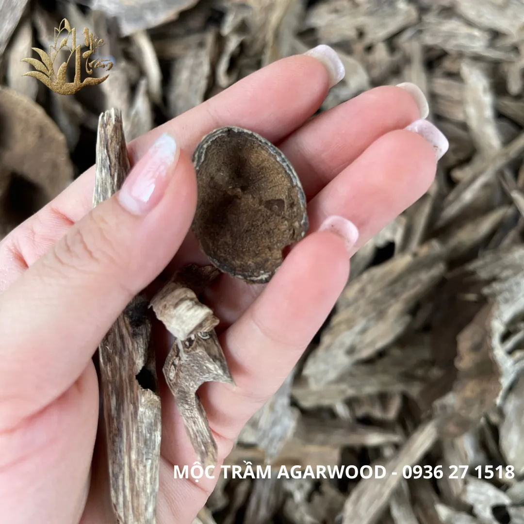 Natural Vietnamese Kien Xi Agarwood Chips – Resinous Oud Pieces (Multiple Weights Available)